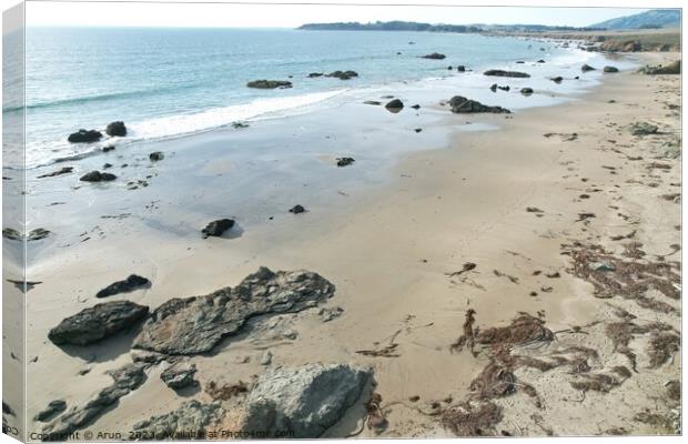 Beaches, marshes and cliffs at San Simeon  California Canvas Print by Arun 