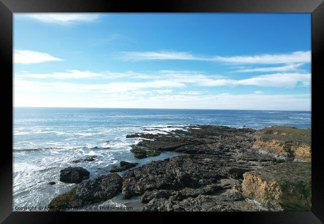 Beaches, marshes and cliffs at San Simeon  California Framed Print by Arun 