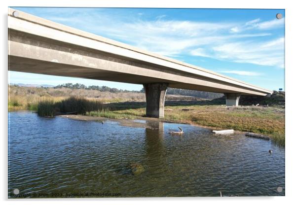 Beaches, marshes and bridges at San Simeon  California Acrylic by Arun 