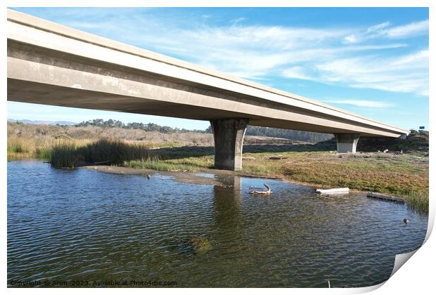 Beaches, marshes and bridges at San Simeon  California Print by Arun 