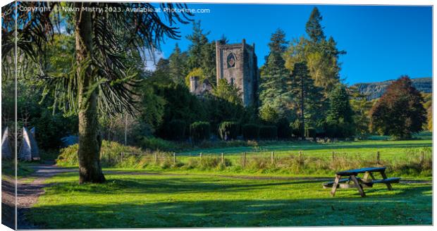 A view of Dunkeld Cathedral  Canvas Print by Navin Mistry