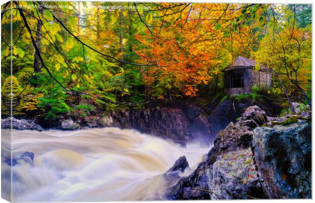 Autumn colours at the Hermitage.   Canvas Print by Navin Mistry