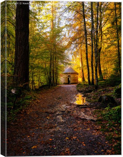 The Hermitage and Autumn Colours Canvas Print by Navin Mistry