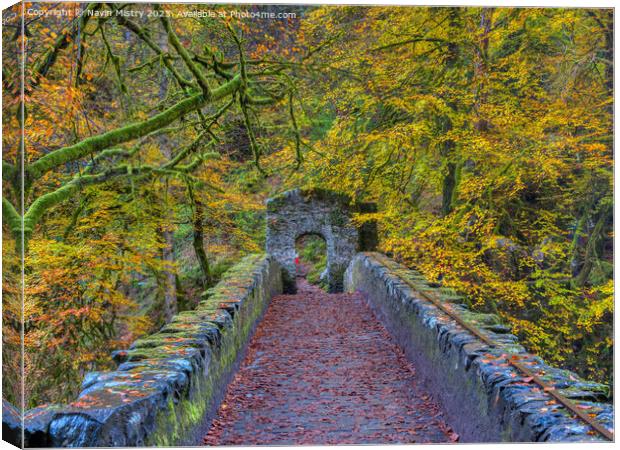 Autumn colours at the Hermitage.   Canvas Print by Navin Mistry