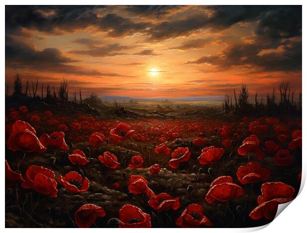 Flanders Field Poppies Print by Steve Smith