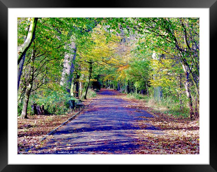 Colours of Autumn. Framed Mounted Print by john hill