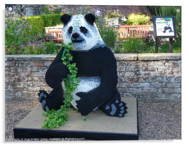 Lego Panda Acrylic by Sue Walker