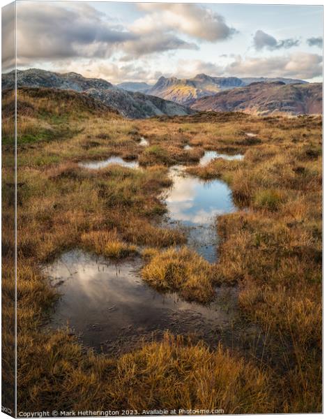 Golden Pikes Canvas Print by Mark Hetherington