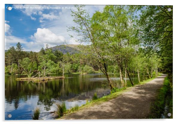 Glencoe Lochan Lakeside Path Scotland Acrylic by Pearl Bucknall