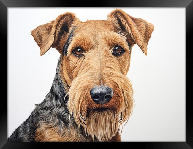 Airedale Terrier Pencil Drawing Framed Print by K9 Art