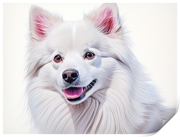 American Eskimo Dog Pencil Drawing Print by K9 Art