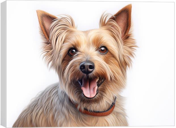 Australian Silky Terrier Pencil Drawing Canvas Print by K9 Art