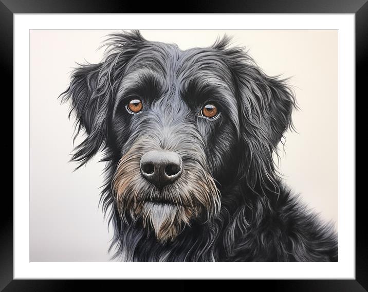 Barbet Pencil Drawing Framed Mounted Print by K9 Art