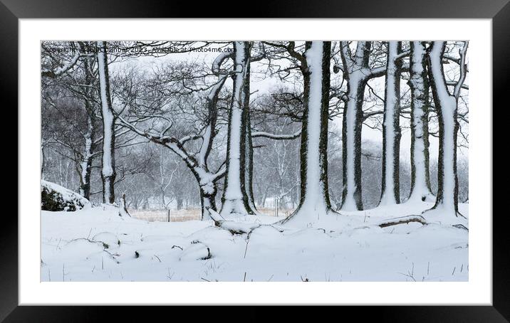 Snowy Side of Winter Framed Mounted Print by John Dunbar