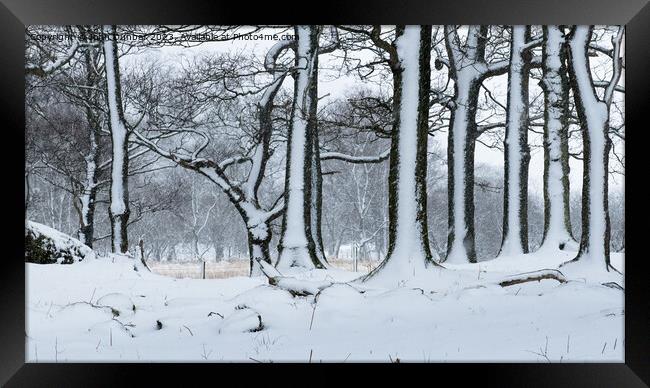 Snowy Side of Winter Framed Print by John Dunbar