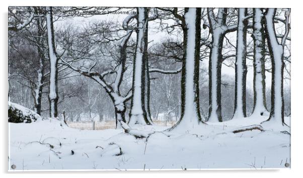 Snowy Side of Winter Acrylic by John Dunbar