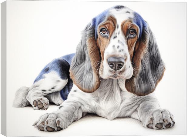 Basset Bleu De Gascogne Pencil Drawing Canvas Print by K9 Art