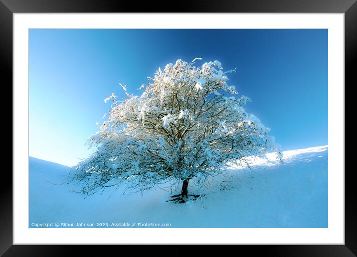 Frosted  tree Framed Mounted Print by Simon Johnson