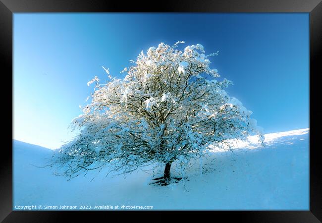 Frosted  tree Framed Print by Simon Johnson