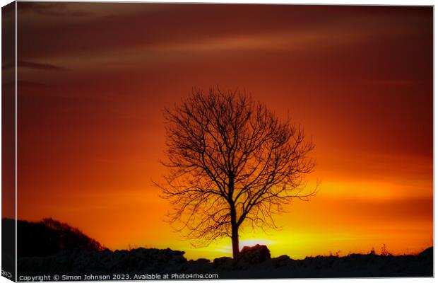 tree silhouette  Canvas Print by Simon Johnson