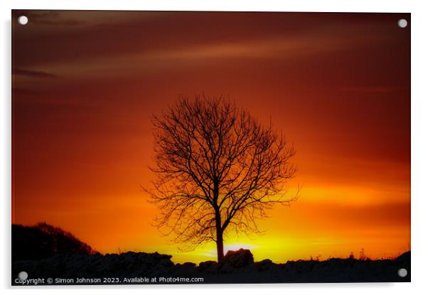 tree silhouette  Acrylic by Simon Johnson