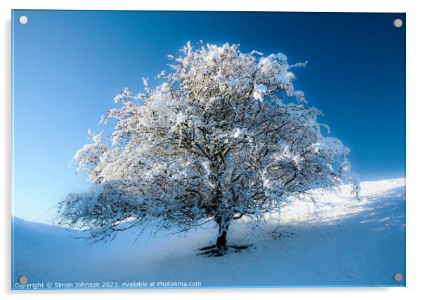 frosted tree Acrylic by Simon Johnson