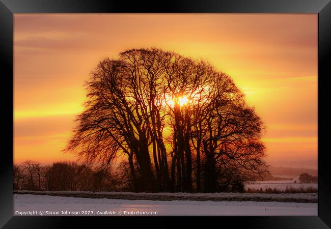 tree silhouette  sunrise Framed Print by Simon Johnson