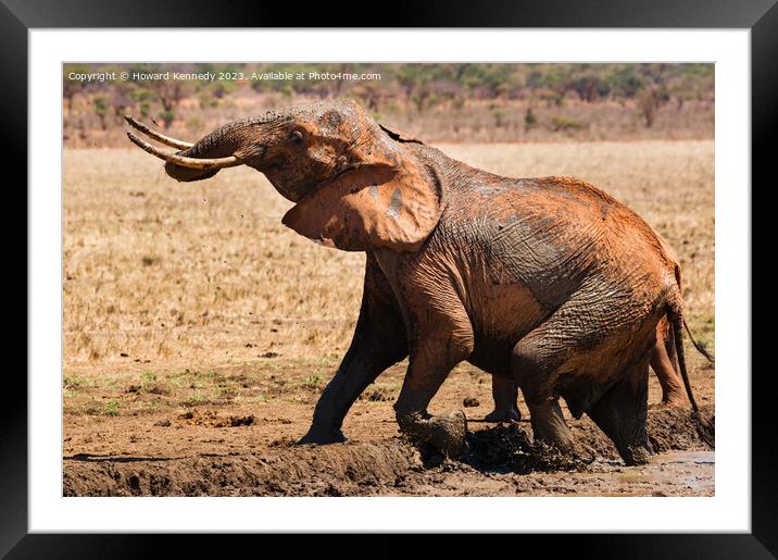 Elephant leaving a mud bath Framed Mounted Print by Howard Kennedy
