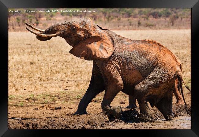 Elephant leaving a mud bath Framed Print by Howard Kennedy