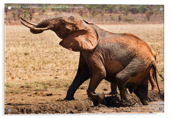 Elephant leaving a mud bath Acrylic by Howard Kennedy