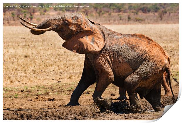 Elephant leaving a mud bath Print by Howard Kennedy