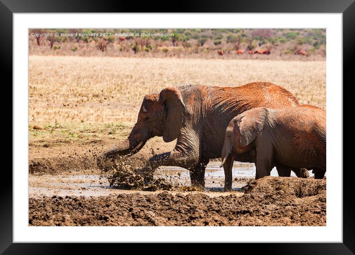 Elephants splashing in a mud bath Framed Mounted Print by Howard Kennedy