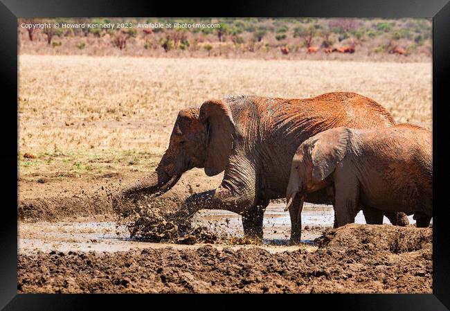 Elephants splashing in a mud bath Framed Print by Howard Kennedy