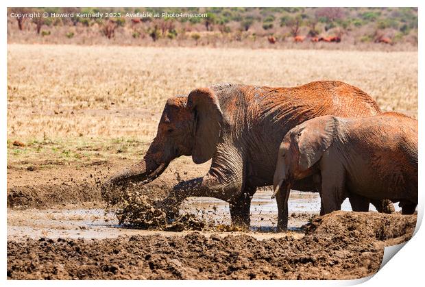 Elephants splashing in a mud bath Print by Howard Kennedy