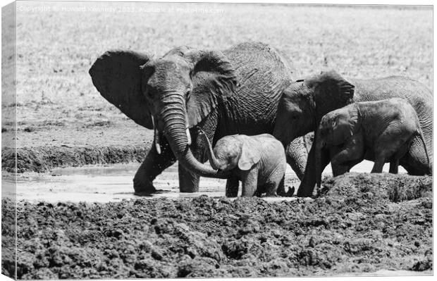 A Helping Hand from Elephant Mum in black and white Canvas Print by Howard Kennedy