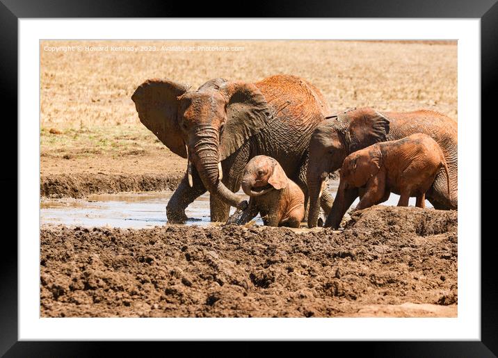 Elephant mud bath play time Framed Mounted Print by Howard Kennedy