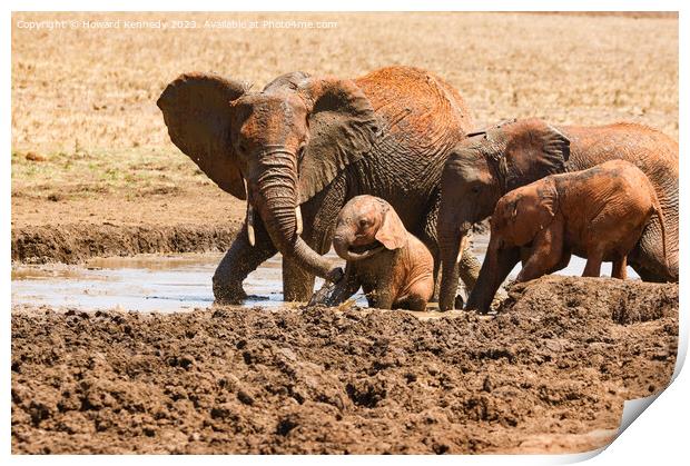 Elephant mud bath play time Print by Howard Kennedy