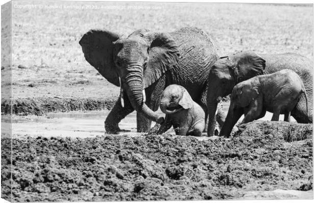 Elephant mud bath play time in black and white Canvas Print by Howard Kennedy