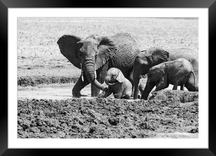 Elephant mud bath play time in black and white Framed Mounted Print by Howard Kennedy