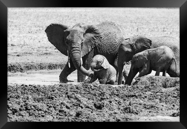 Elephant mud bath play time in black and white Framed Print by Howard Kennedy