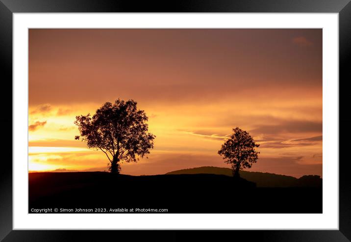  tree silhouettes  at sunset Framed Mounted Print by Simon Johnson