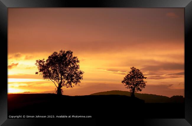  tree silhouettes  at sunset Framed Print by Simon Johnson