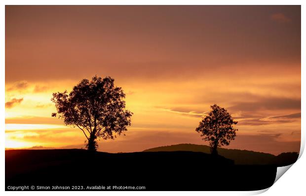  tree silhouettes  at sunset Print by Simon Johnson