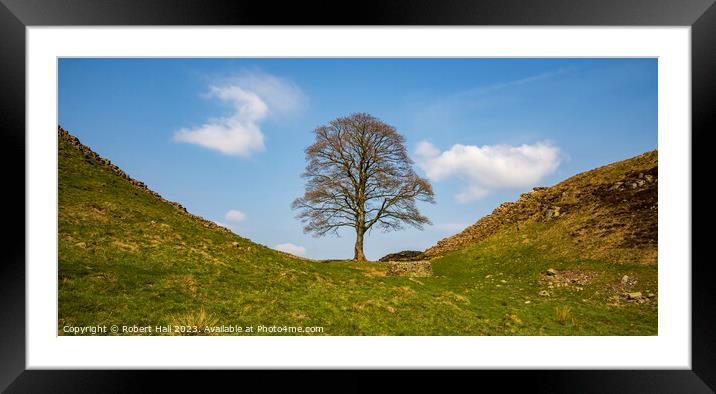 Sycamore Gap Framed Mounted Print by Robert Hall