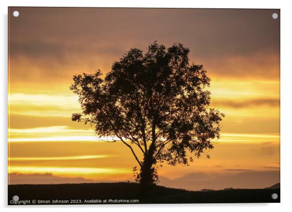 A sunset over a body of water Acrylic by Simon Johnson