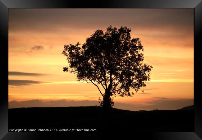 Tree silhouette  Framed Print by Simon Johnson