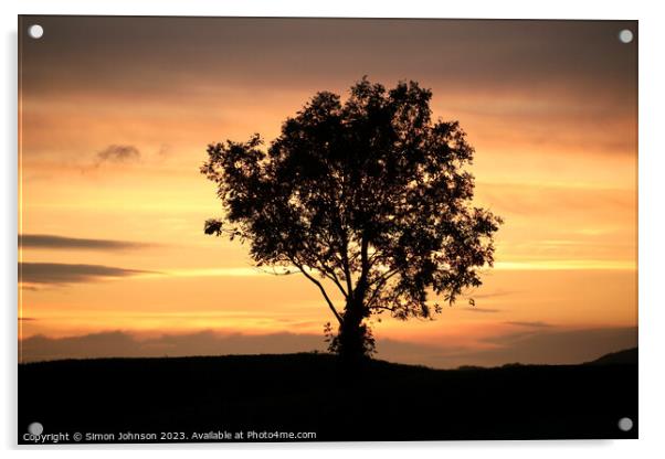 Tree silhouette  Acrylic by Simon Johnson
