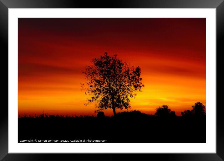 Tree silhouette at sunset  Framed Mounted Print by Simon Johnson