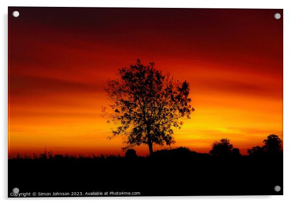 Tree silhouette at sunset  Acrylic by Simon Johnson