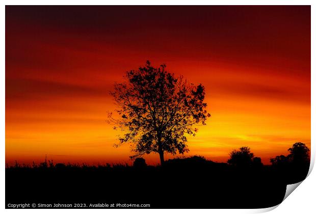 Tree silhouette at sunset  Print by Simon Johnson